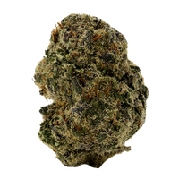 Illuminati exotic indoor THCa flower by Nick’s Nugs with dense frosty buds and sweet cream, gas, earthy kush, pine, citrus, and funky flavors

