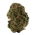 Illuminati exotic indoor THCa flower by Nick’s Nugs with dense frosty buds and sweet cream, gas, earthy kush, pine, citrus, and funky flavors
