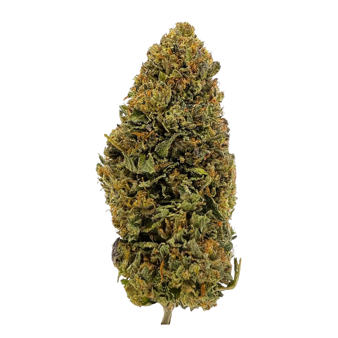 Jet Fuel Gelato hybrid THCa flower with uplifting effects. Order online with fast nationwide shipping or Nashville delivery.