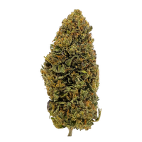 Jet Fuel Gelato hybrid THCa flower with uplifting effects. Order online with fast nationwide shipping or Nashville delivery.