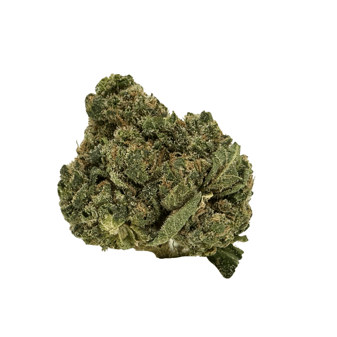 Key Lime Jack strain: light, sativa-leaning with chunky, vibrant nugs. Uplifts the mind, calms the body. Sweet aroma with a hint of lime.