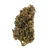 Lemon Cherry Gelato hybrid strain THCa flower with sweet cherry lemon aroma. Shop cannabis online with fast shipping and Nashville delivery.