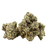 Lemon Cherry Pop exotic THCa flower by BBXLG with sweet cherry, citrus, spice, and gas flavor from organic living soil cultivation