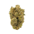 Exotic Private Reserve Lemon Gusher hybrid strain — dense, frosty buds with lemon-berry aroma. Shop now at Consider It Flowers.