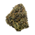 Marshmallow Runtz hybrid strain with dense frosty buds, orange hairs, and a sweet vanilla-marshmallow flavor. Shop now online.