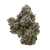 Mellowz hybrid strain with purple and green buds and sweet grape aroma. Shop THCa flower online with shipping and Nashville delivery.