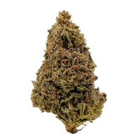 Modified Mints hybrid THCa flower with minty flavor and calming effects. Order online with fast nationwide shipping or Nashville delivery.