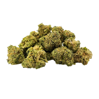 Buy Pavé Indica strainTHCa Flower online. Creamy, earthy flavor and calming balance. Fast, discreet cannabis shipping from Consider It Flowers.