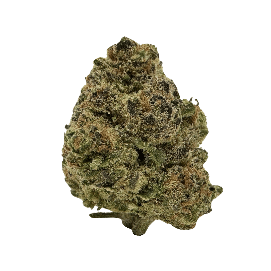 Pirate’s Milk strain is a sweet hybrid with uplifting effects, a calming buzz, and a berries-and-cream aroma. Perfect for relaxation!