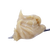Pixie Guava 1G 90u Live Rosin – tropical sativa dab with guava-candy flavor and bright, uplifting effects