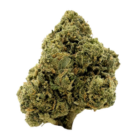 Poison Gushers hybrid strain with frosty green purple buds. Shop THCa flower online with shipping and Nashville delivery