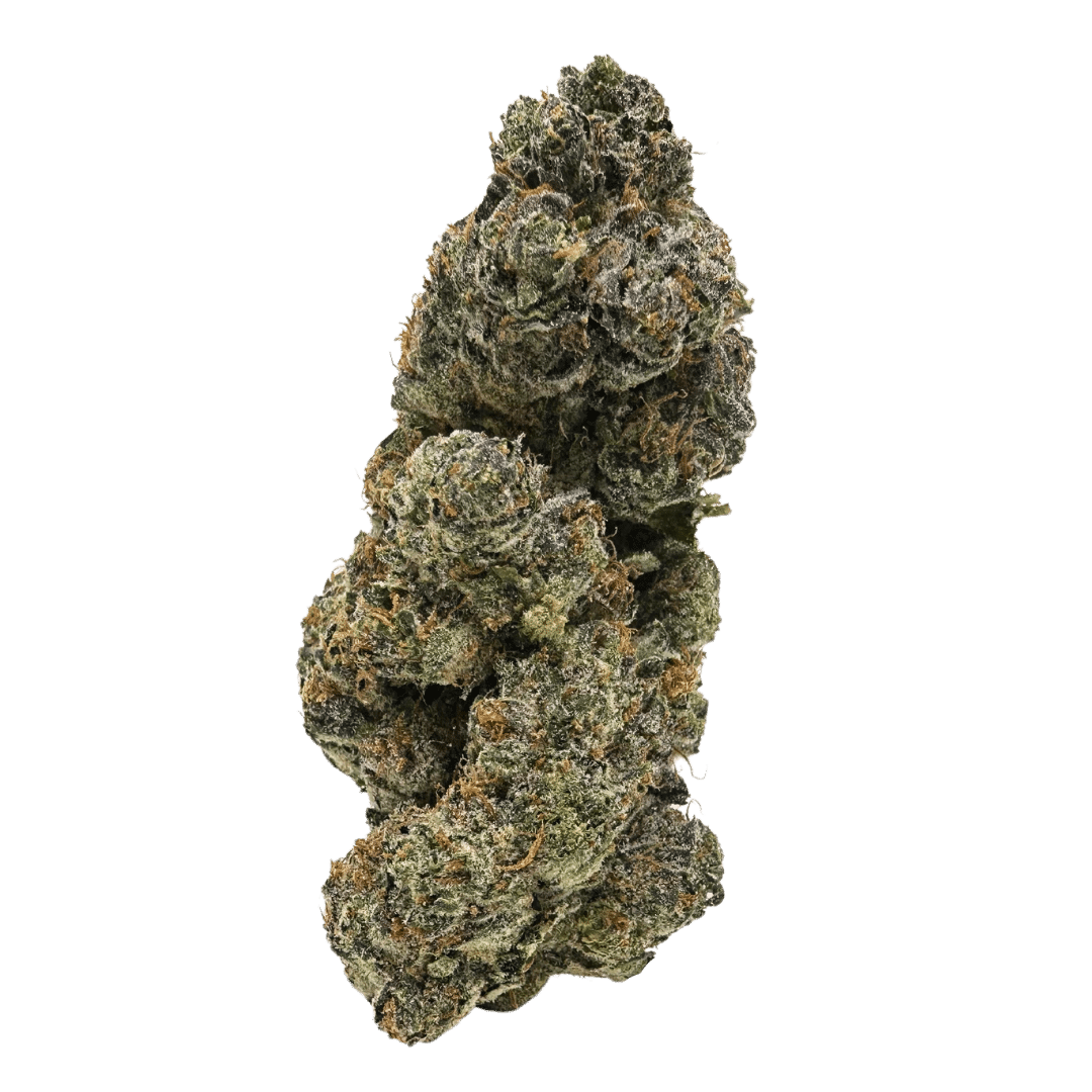 Pure Power Plant strain: vibrant green buds with purple swirls and orange hairs. Musky citrus aroma with earthy wood and vanilla notes.