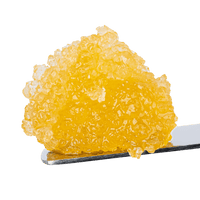 Purple Punch THCa diamond sauce concentrate by BBXLG in a 2 gram jar with sweet grape, ripe berry, vanilla, earthy, and lightly gassy indica flavor notes