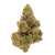 RS-11 Rainbow Sherbet Private Reserve Exotic Indica THCa Flower Strain – sweet cherry berry flavor and relaxing effects. Get THCa flower shipped today.