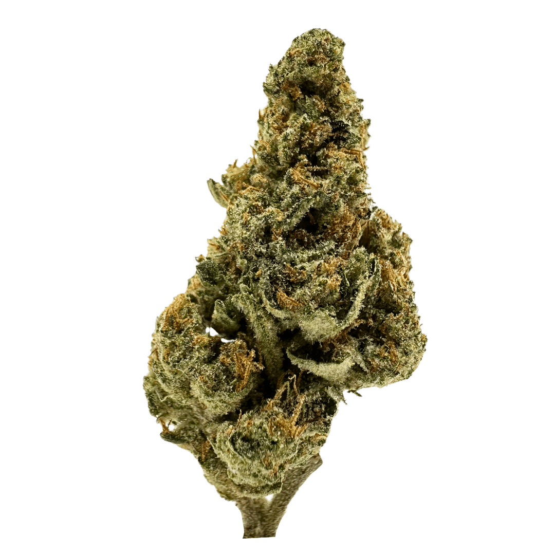 Red Velvet strain is a hybrid with euphoric creativity, soothing calm, and aphrodisiac effects that relax both the body and soul.