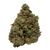 Royal Runtz premium THCa flower by BBXLG with sweet candy, ripe berry, citrus, tropical fruit, vanilla cream, earthy herb, and light gas hybrid flavor notes
