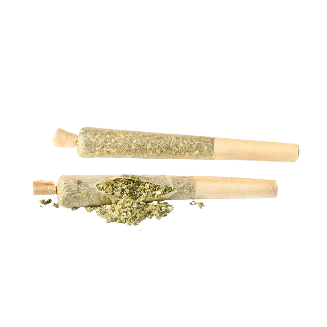 Shifters™ Prerolls by Canvast: two 0.75g prerolls of Sex Grenade strain. Lemony aroma, upbeat, sociable vibe with energizing effects.