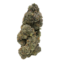 Sour Garlic Cookies exotic indoor THCa flower by Nick’s Nugs with sour citrus, garlic, earthy herb, black pepper, cookie dough, and gassy hybrid flavor notes