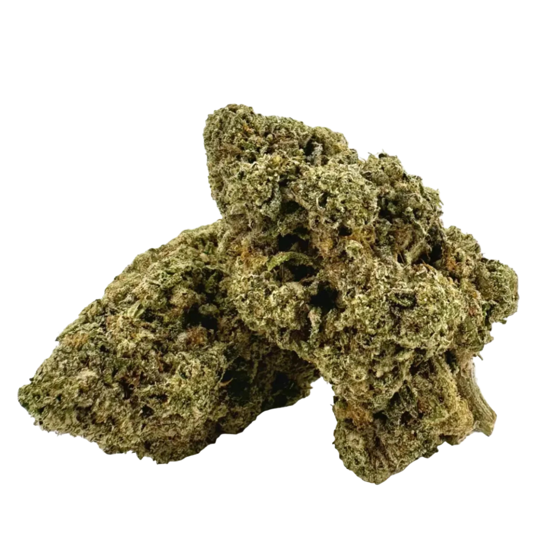 Sour Joker exotic THCa flower by BBXLG with sour citrus, lemon, earthy spice, and diesel flavors, grown in organic living soil
