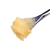 Sour Strawberries Sativa Solventless Live Rosin, sweet strawberry and peppery diesel dabs for focus, creativity, and daytime energy.