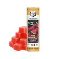 Modern Herb Co. Sour Watermelon Hybrid 20CT Live Resin Gummies – 20mg THC each, balanced anytime high with sweet and sour flavor. Shop now.