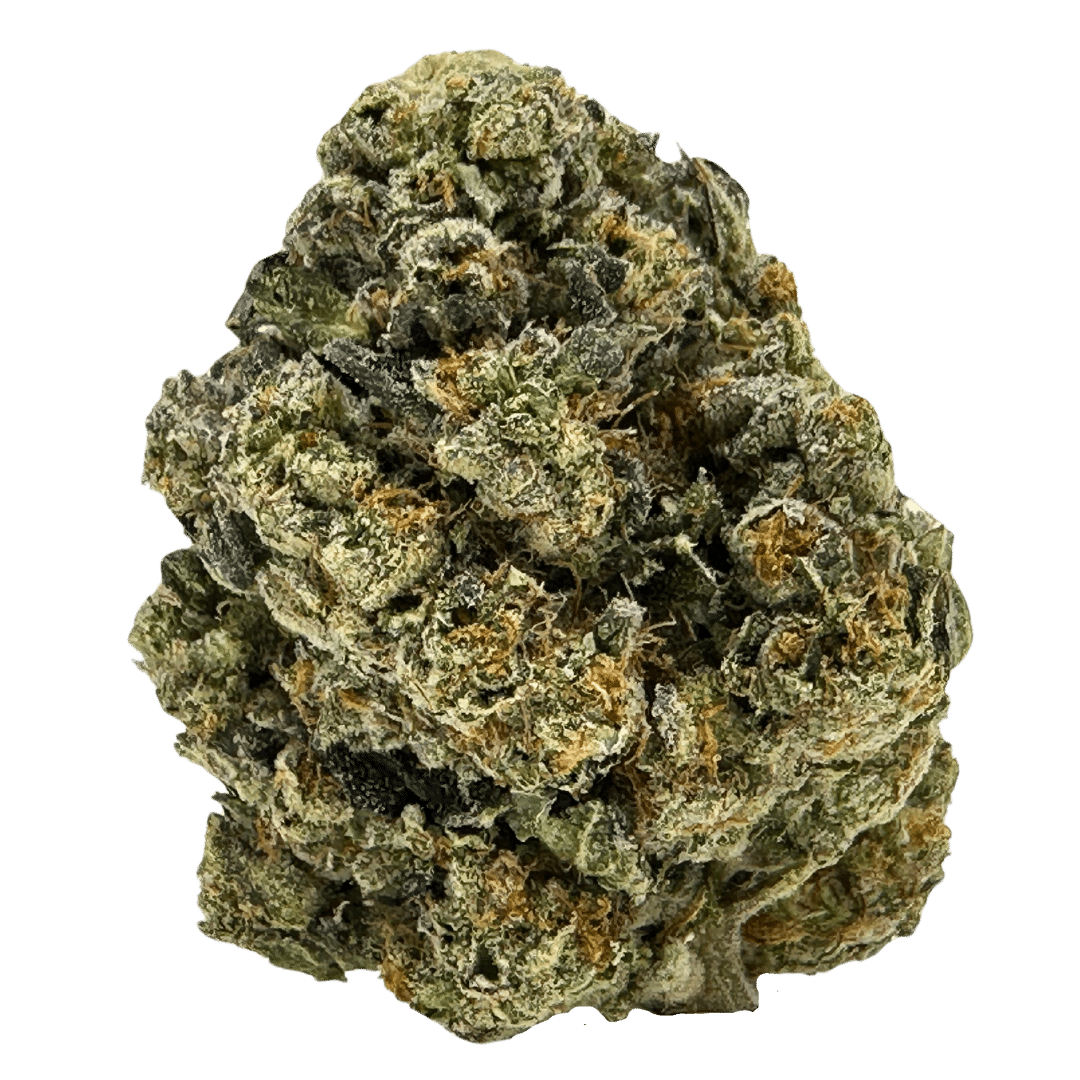 Strawberry Shortcake nugs are dense, bright green, and coated in trichomes, with a sweet berry aroma, earthy notes, and a tart, gassy flavor.