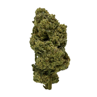 Sundae Driver premium THCa flower by BBXLG with creamy sweetness, ripe fruit, vanilla, grape, cocoa, earthy herb, and light gas indica flavor notes
