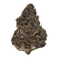 Super Boof strain is a rare, tangy, tangerine-forward 50/50 hybrid offering mental stimulation, physical relaxation, and a creative head rush.