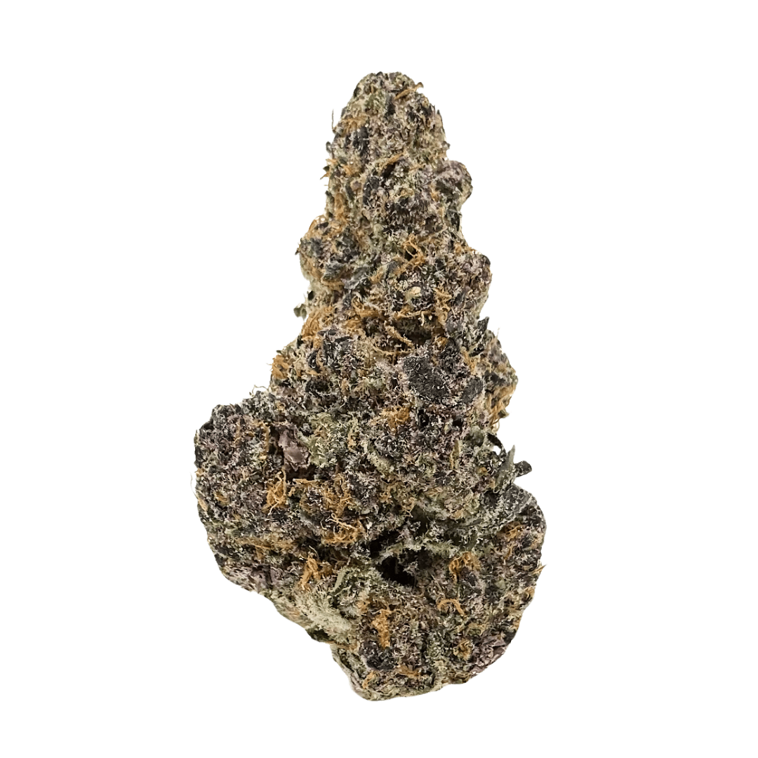 Super Boof exotic indoor THCa flower by Nick’s Nugs with dense frosty buds and sweet cherry, orange citrus, tropical fruit, earthy, and funky flavors