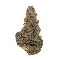 Super Boof exotic indoor THCa flower by Nick’s Nugs with dense frosty buds and sweet cherry, orange citrus, tropical fruit, earthy, and funky flavors