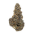 Super Boof exotic indoor THCa flower by Nick’s Nugs with dense frosty buds and sweet cherry, orange citrus, tropical fruit, earthy, and funky flavors