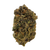 Super Sonic Exotic Private Reserve Sativa THCA Flower — sweet tropical citrus aroma, uplifting energy, buy THCA flower online today for fast shipping. 