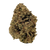 Tahoe OG indica strain with dense green buds and orange hairs. Shop THCa flower online with shipping and Nashville delivery