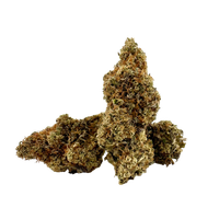 Tangie Cookies premium indoor THCa flower by BBXLG with bright tangerine, orange candy, tropical citrus, vanilla, and sweet cookie flavors