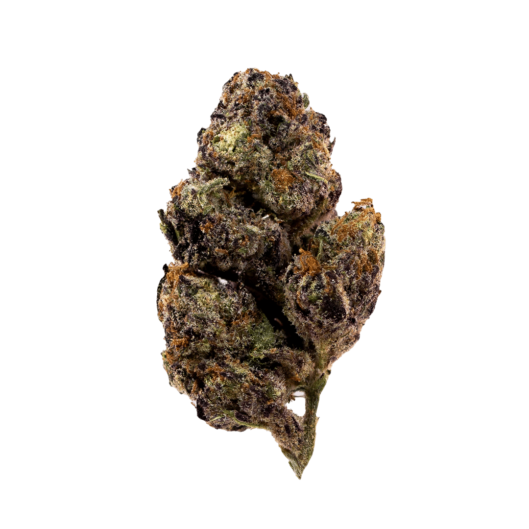 Close-up of Thin Mints cannabis flower showing dense dark green buds with purple undertones, bright orange pistils, and crystalline trichomes