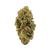 Trainwreck premium sativa flower with frosty green buds, pine-citrus aroma, and uplifting euphoric effects.