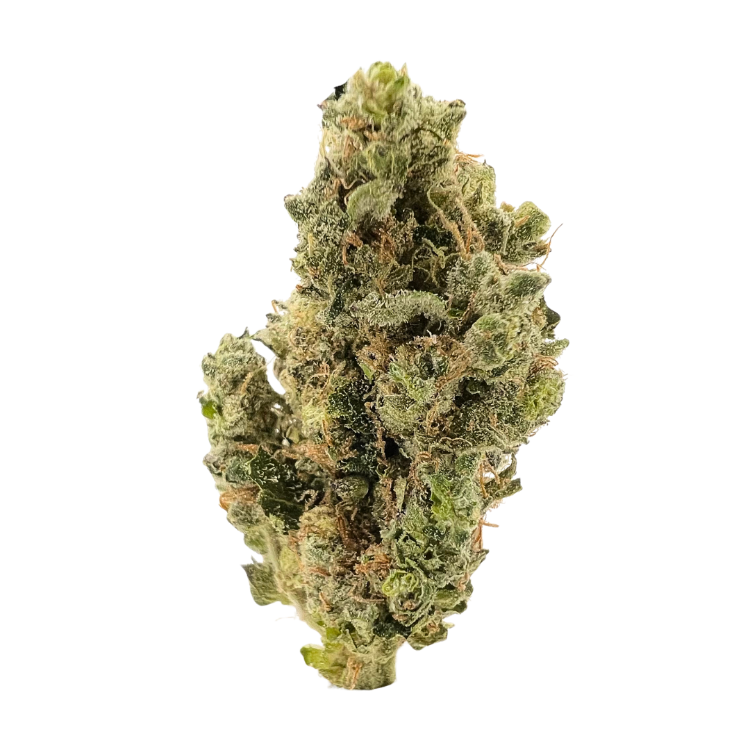 Tropic Thunder Premium THCa Flower Sativa strain – tropical mango and pineapple flavor, uplifting effects, shop THCa Flower that ships fast at Consider It Flowers.