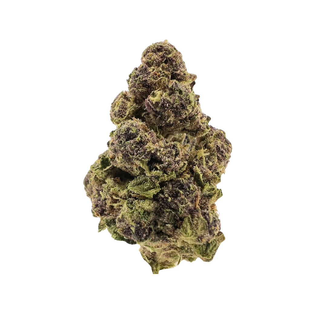Tropical Runtz Premium Sativa—bold cherry citrus flavor, purple-green frosty buds, and an energizing, social daytime high. Shop now.