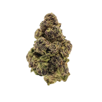 Tropical Runtz Premium Sativa—bold cherry citrus flavor, purple-green frosty buds, and an energizing, social daytime high. Shop now.