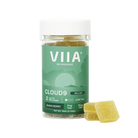 Cloud 9 Relief Gummies with 2mg THC and 25mg CBD in Guava Berry flavor—microdose THC paired with 5HTP and L-Theanine for calm and balance.