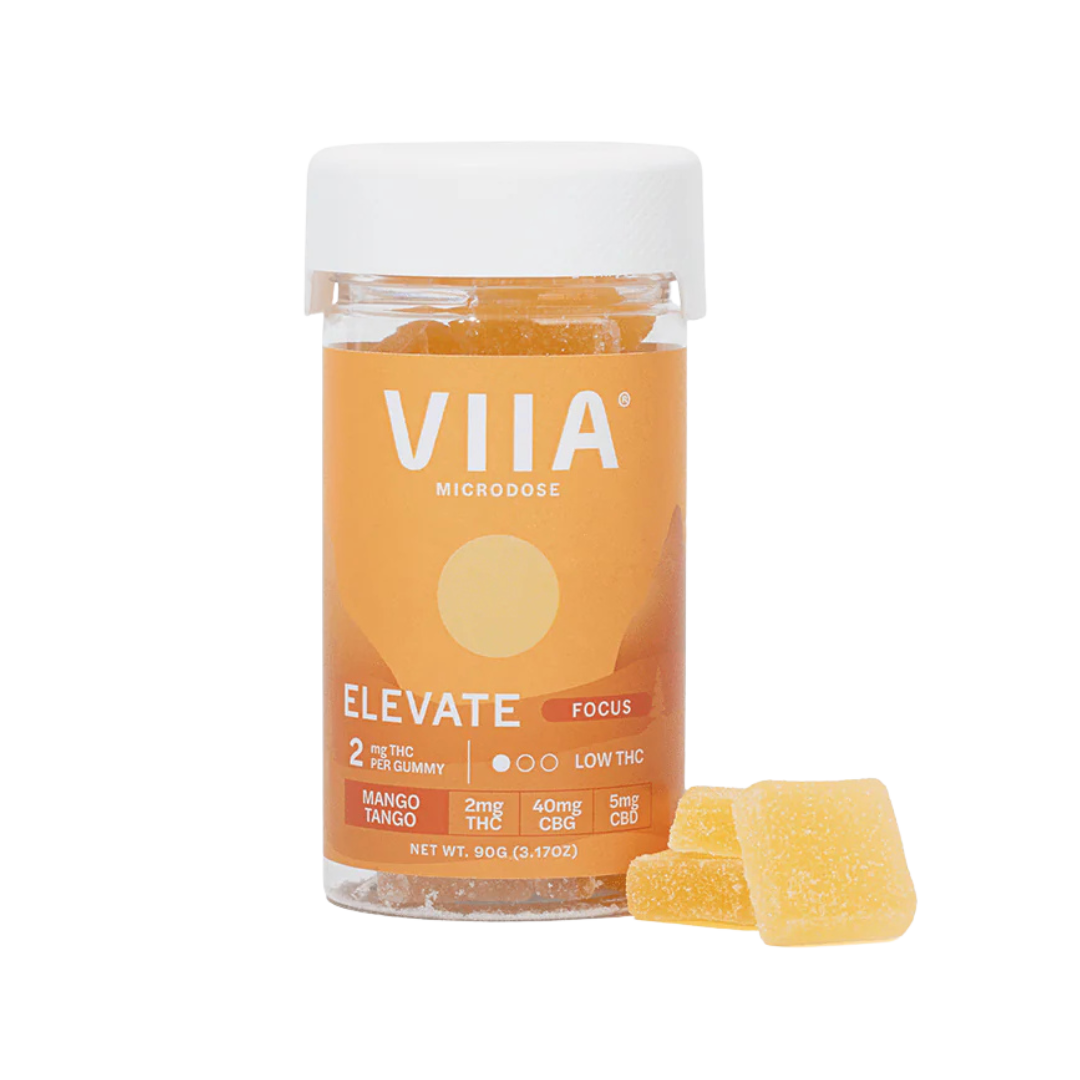 Elevate Focus Gummies in Mango Tango flavor with 2mg THC, CBG, CBD, and nootropic support. Microdosed for focus, mood, and relief.