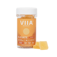 Elevate Focus Gummies in Mango Tango flavor with 2mg THC, CBG, CBD, and nootropic support. Microdosed for focus, mood, and relief.