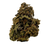 Velvet Berry Premium THCa Flower (33%)