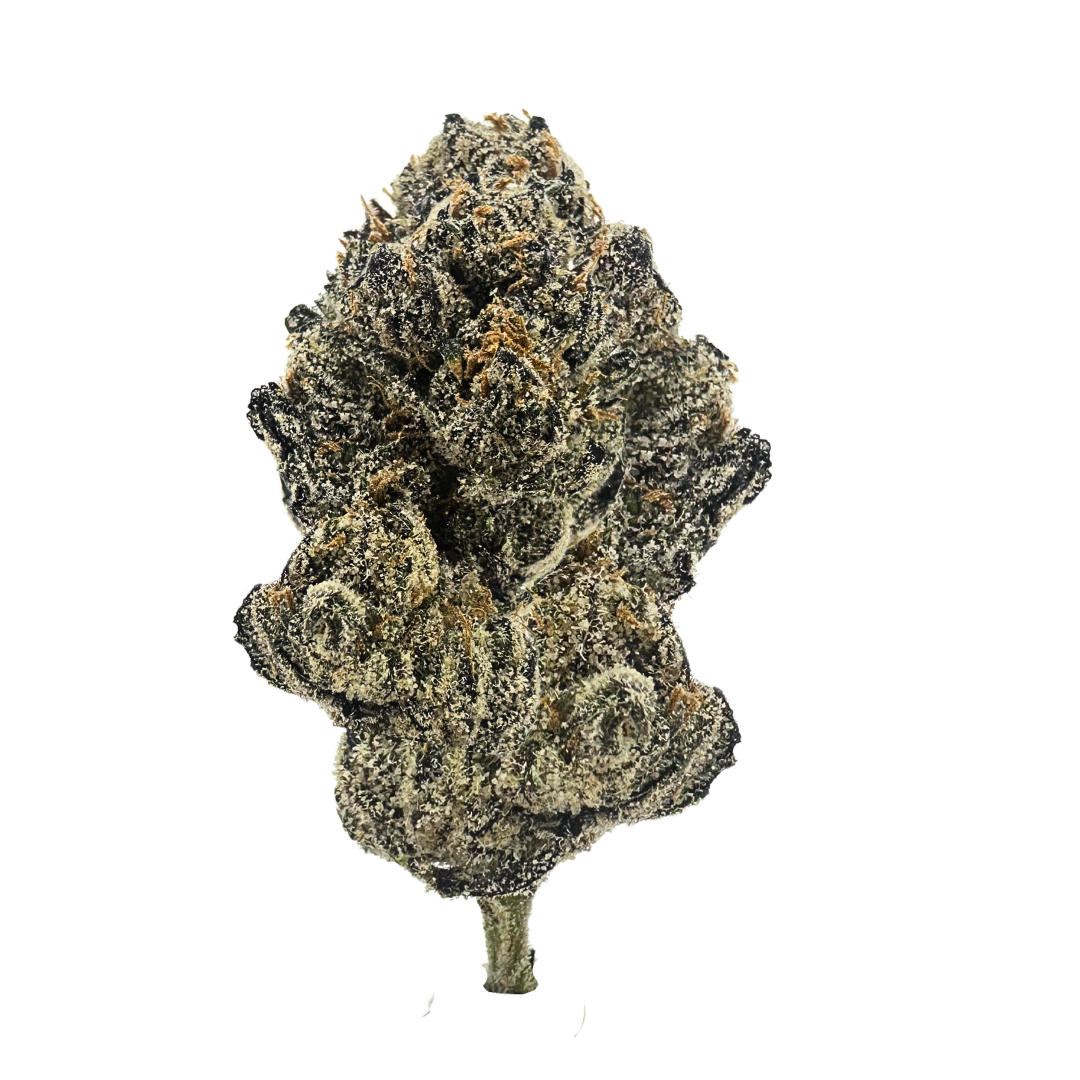 Watermelon Gumdrop strain features olive green and deep purple buds, coated in trichomes, with a sweet, floral, and slightly spicy aroma. 