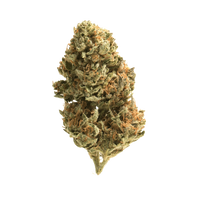 White Gummies premium THCa flower by BBXLG with sweet candy, creamy fruit, citrus, vanilla, earthy herb, and light gas hybrid flavor notes
