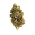 White Gummies premium THCa flower by BBXLG with sweet candy, creamy fruit, citrus, vanilla, earthy herb, and light gas hybrid flavor notes

