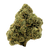 White Walker premium indoor THCa flower by BBXLG with frosty buds and earthy kush, pine, citrus, herbal spice, and light gas flavors
