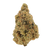 Zangria premium THCa flower by BBXLG with ripe berry, sweet citrus, grape, tropical fruit, herbal, and light gas sativa flavor notes

