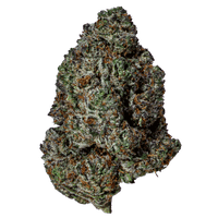 Zushi Bomb premium THCa flower by BBXLG with sweet candy, creamy fruit, citrus, vanilla, earthy herb, and light gas indica flavor notes
