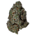 Zushi Bomb premium THCa flower by BBXLG with sweet candy, creamy fruit, citrus, vanilla, earthy herb, and light gas indica flavor notes
